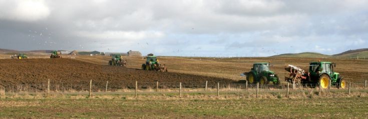 Infestation of tractors
