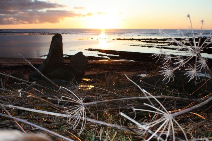 Marwick Bay - 09 Jan 2010