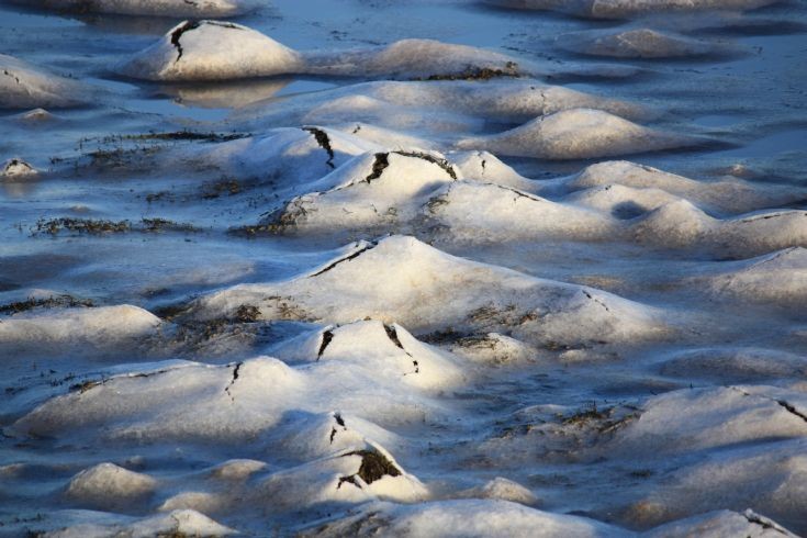 Frozen shore at Firth