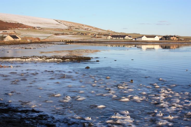 Frozen ice on shore at Firth
