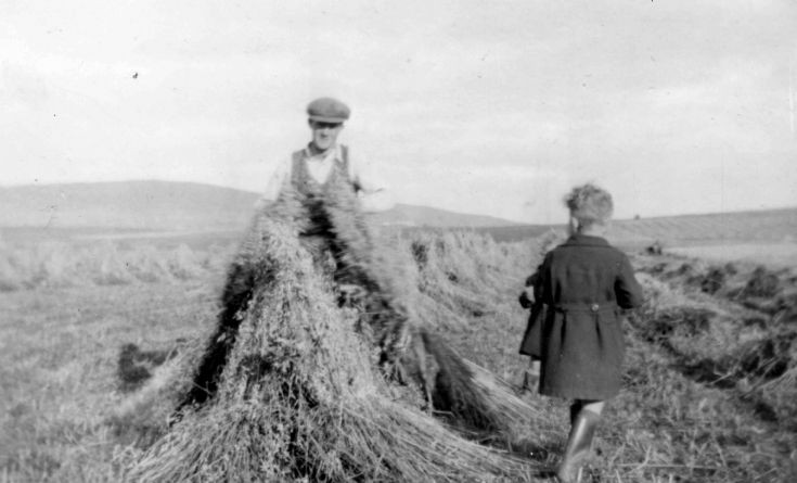 In the stooks