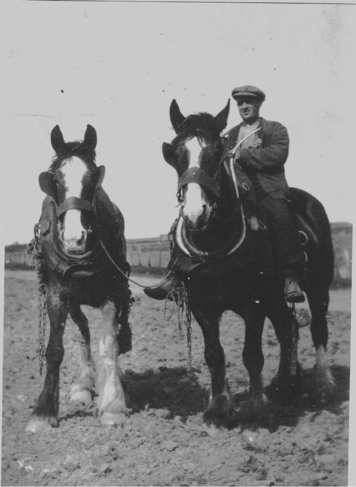 Donald Millan