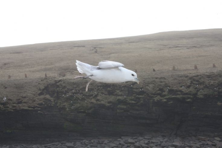 Flyby