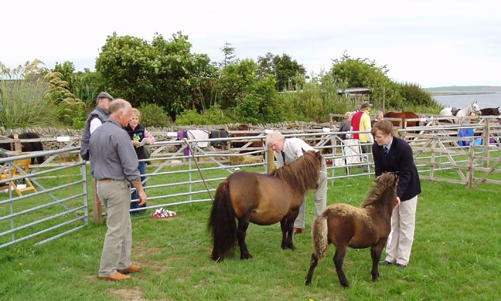 East Mainland Show 2006