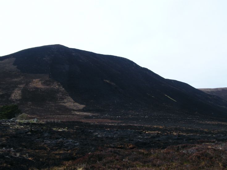 Heath fire in Hoy 3