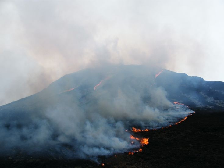 Heath fire in Hoy 4