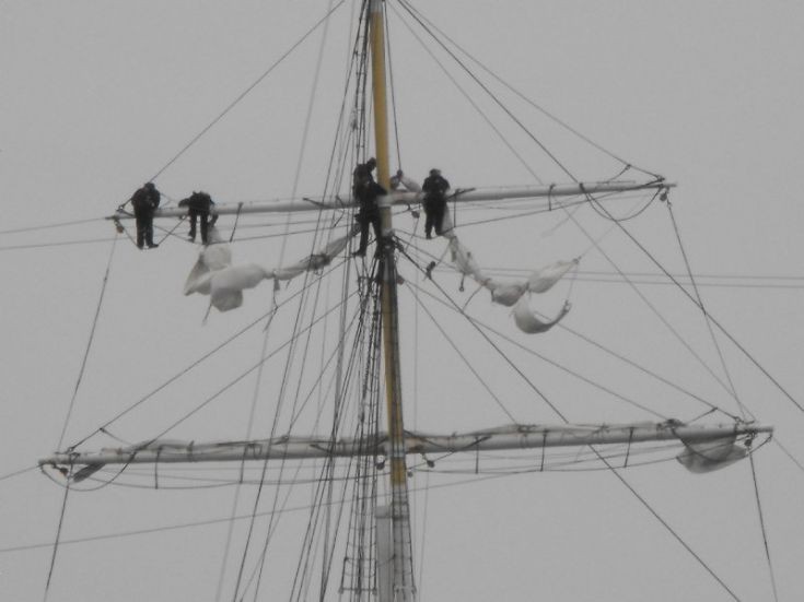 Rigging