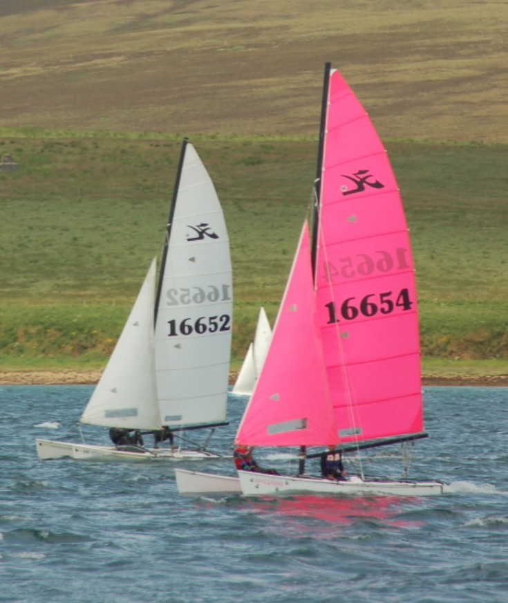 Cats racing at Longhope Regatta