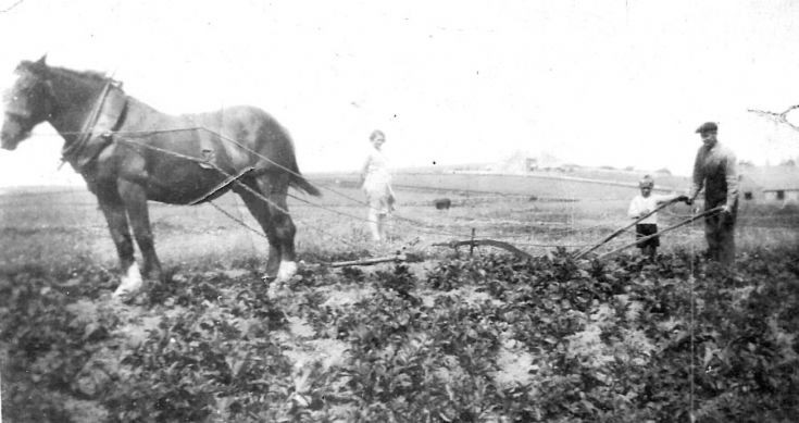 Ploughing