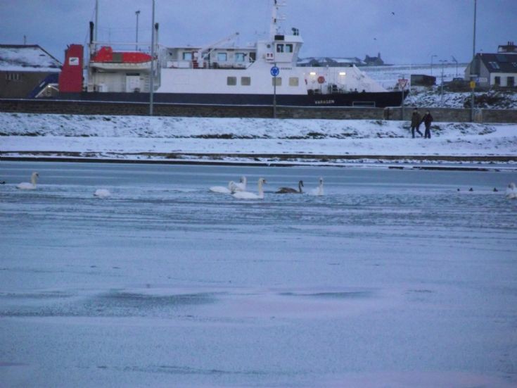 A frozen look across the Peedie Sea