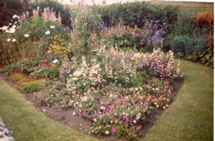 'Indoor' garden in Cava