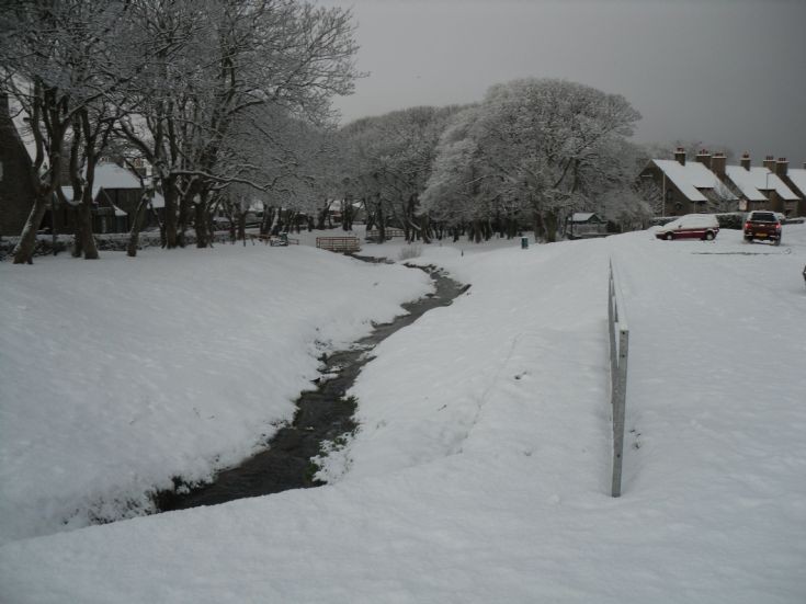 Willow Burn