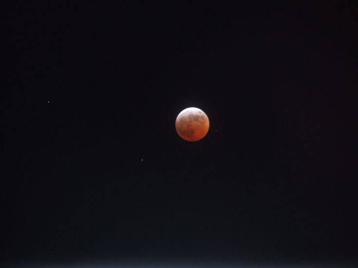 Bonny moon