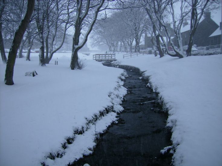 The Willows