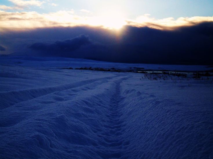 Snowfields