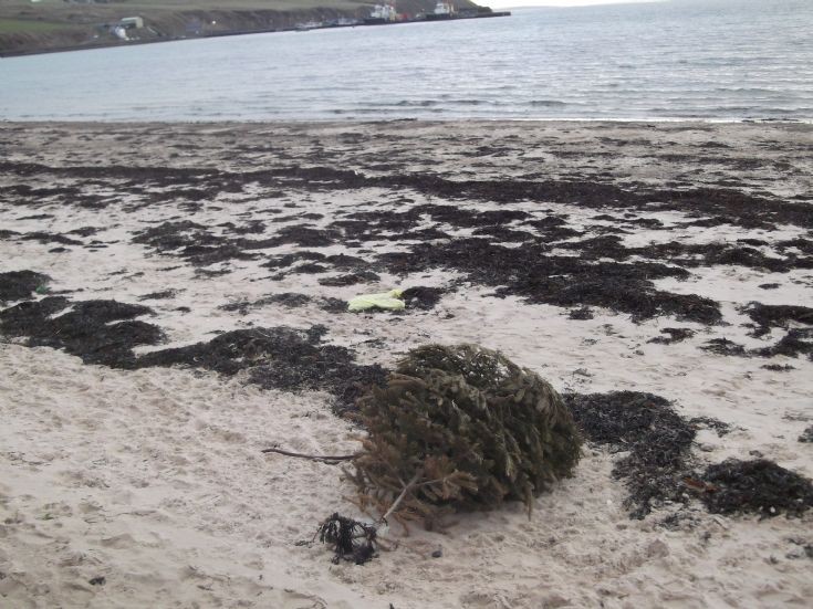 Washed up or dumped?