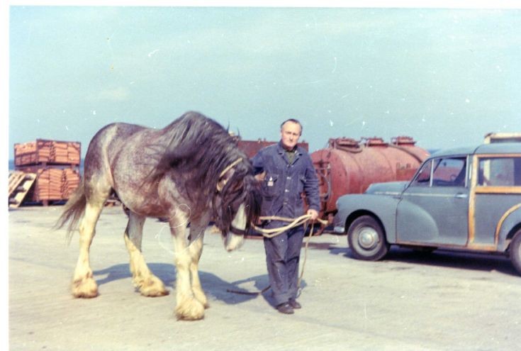 Jock O Brough's horses