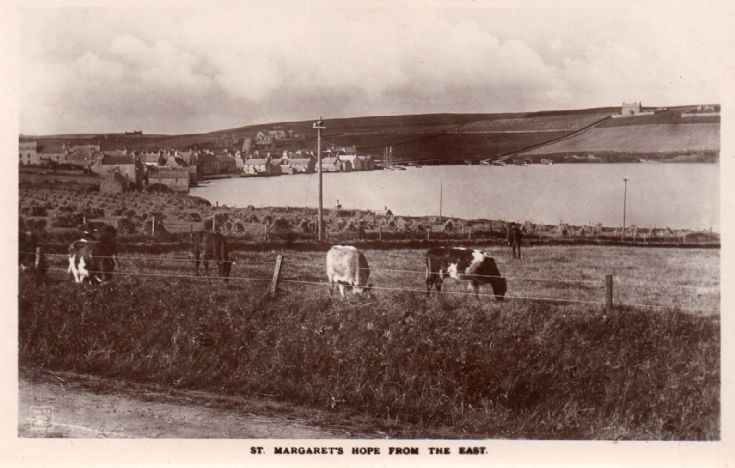 Postcard by J Spence and Son SMH