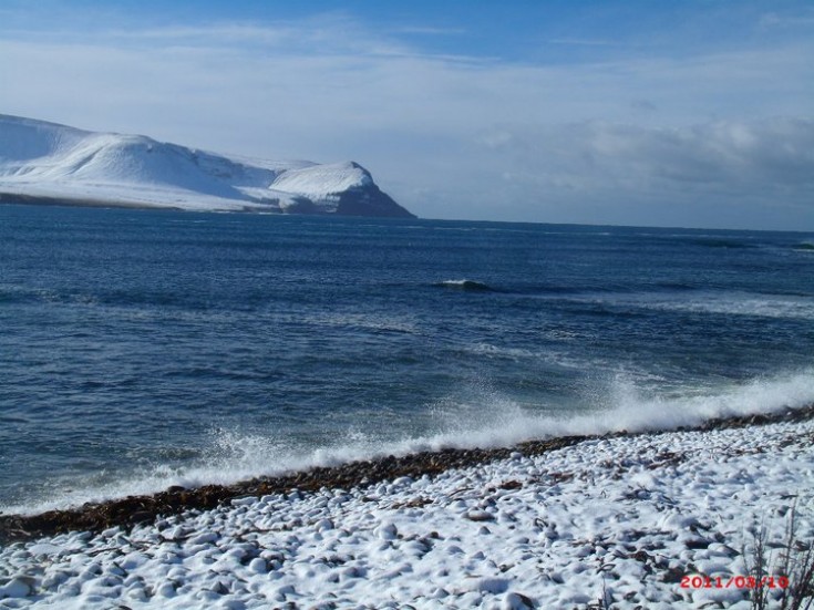 Seashore Spray