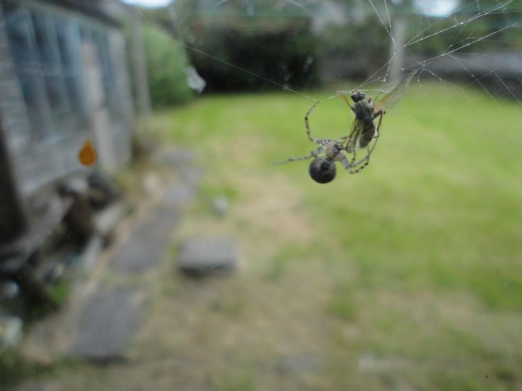 Nature in the raw