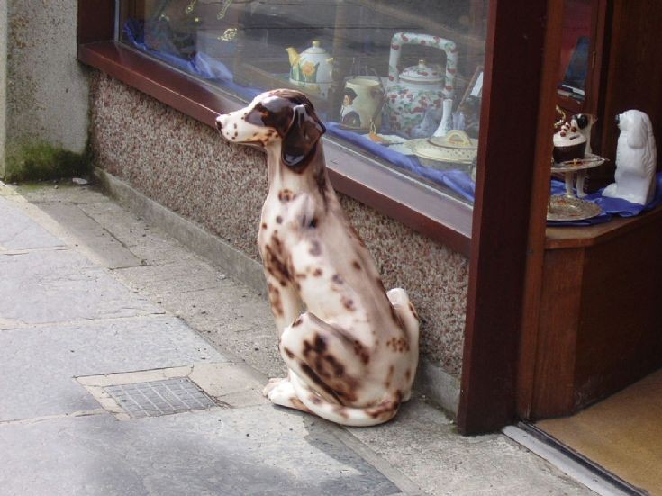 Waiting patiently
