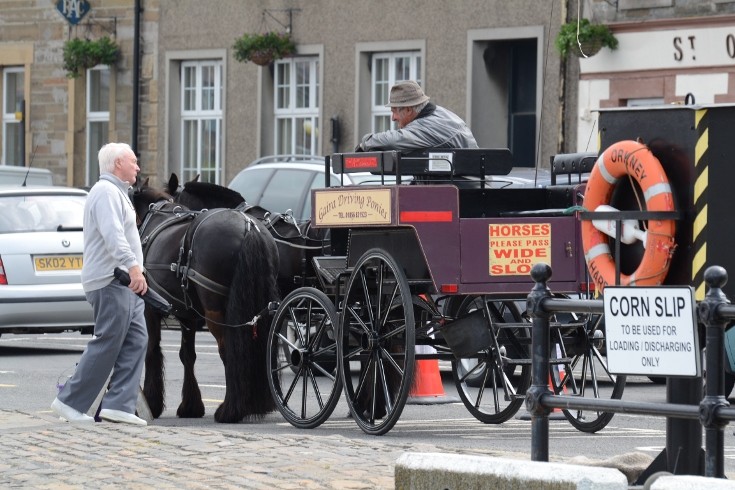 Horses and carriage
