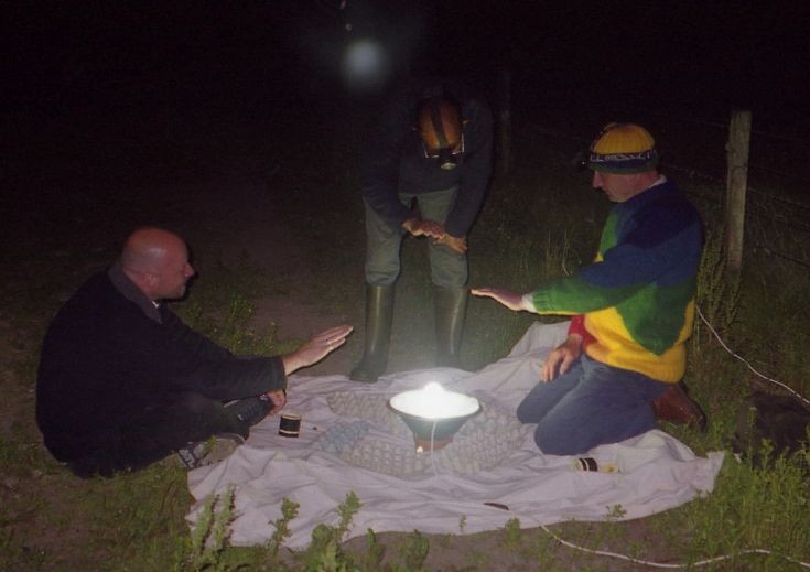 Mystery activity