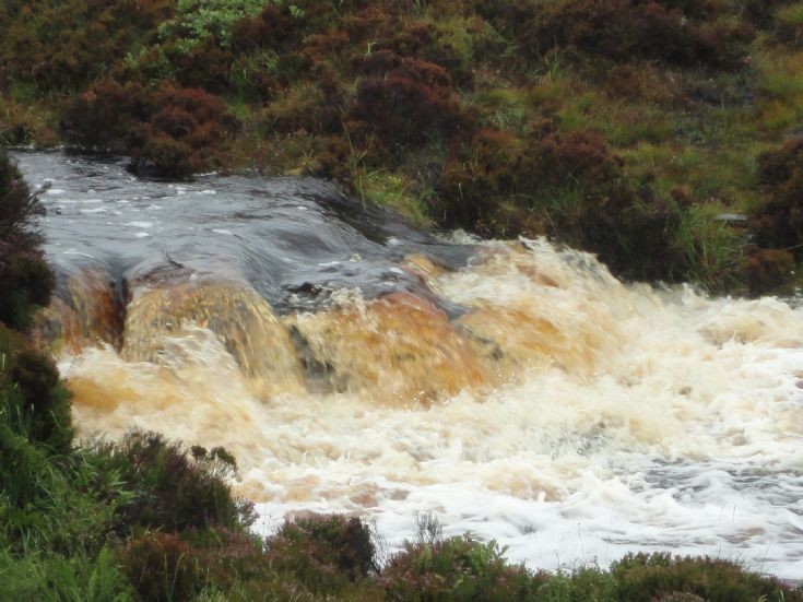 Torrent