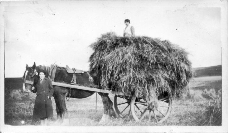 Farming at Kebro, Orphir