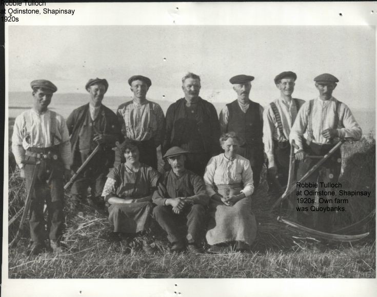 Harvest time in Shapinsay