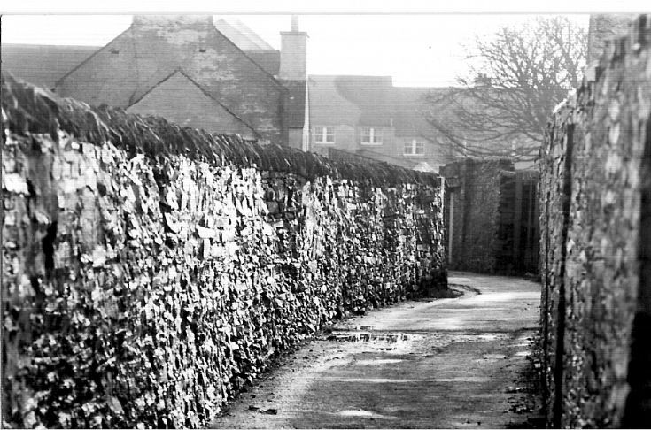 Victoria Lane?