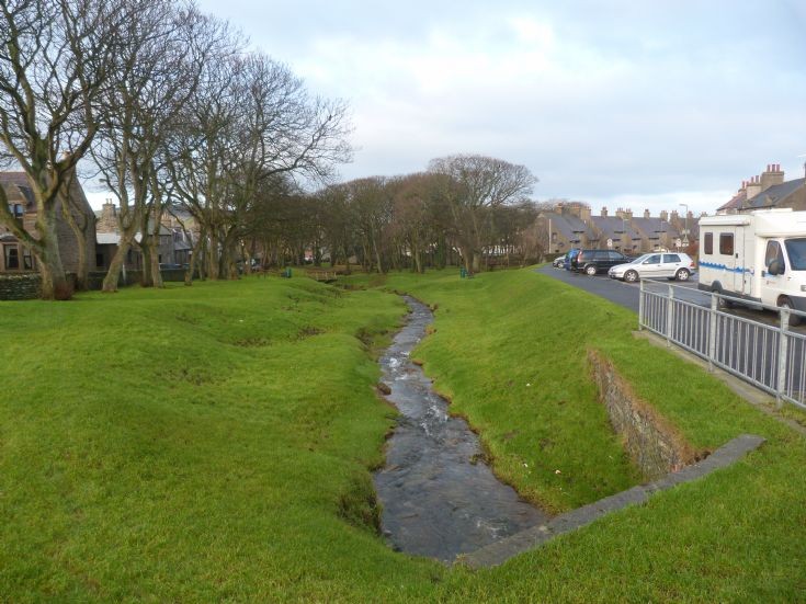 The Willows now