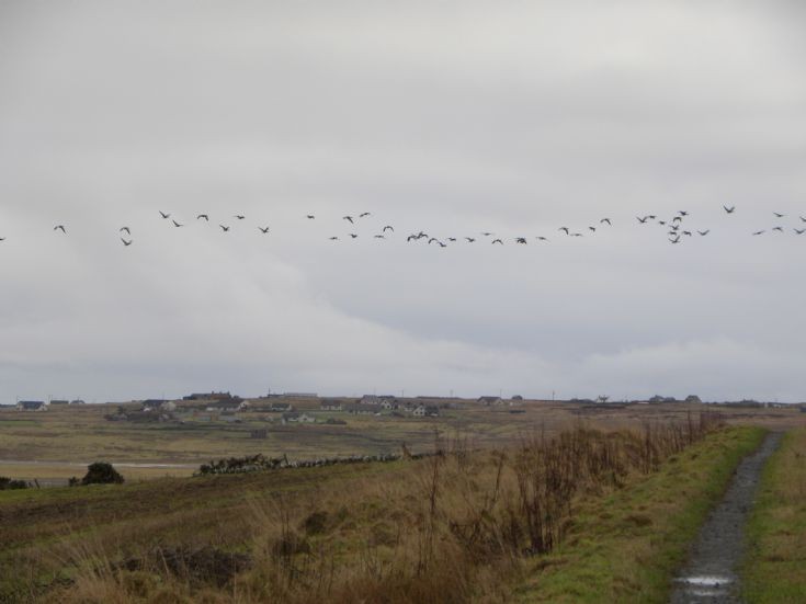 View across the airport towards Tankerness