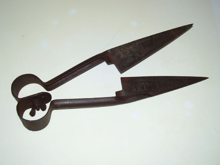 Old Sheep Shears