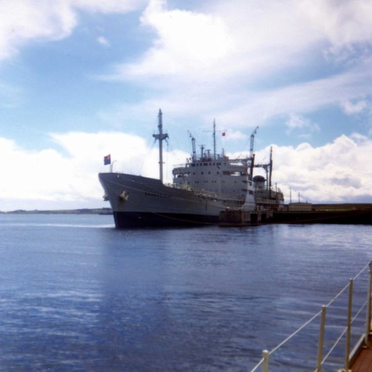 RFA Orangeleaf