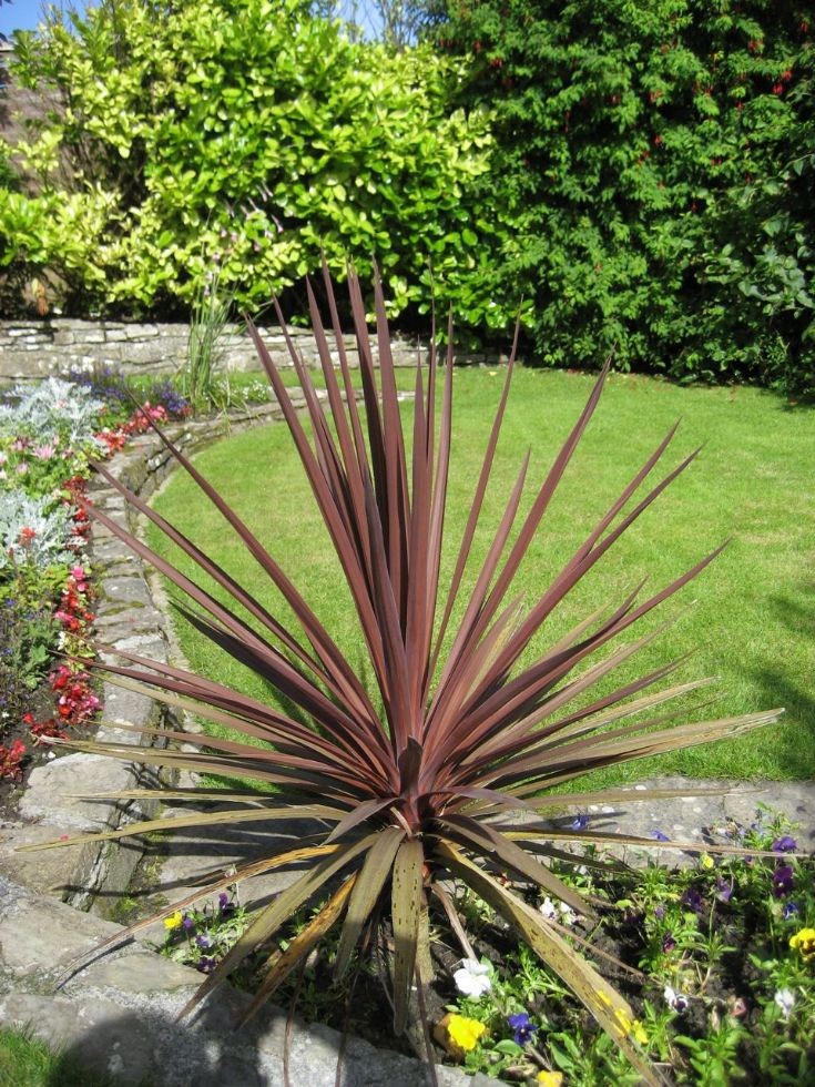 Alan Clouston's garden