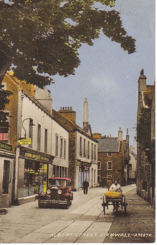 The old car near the old Big Tree
