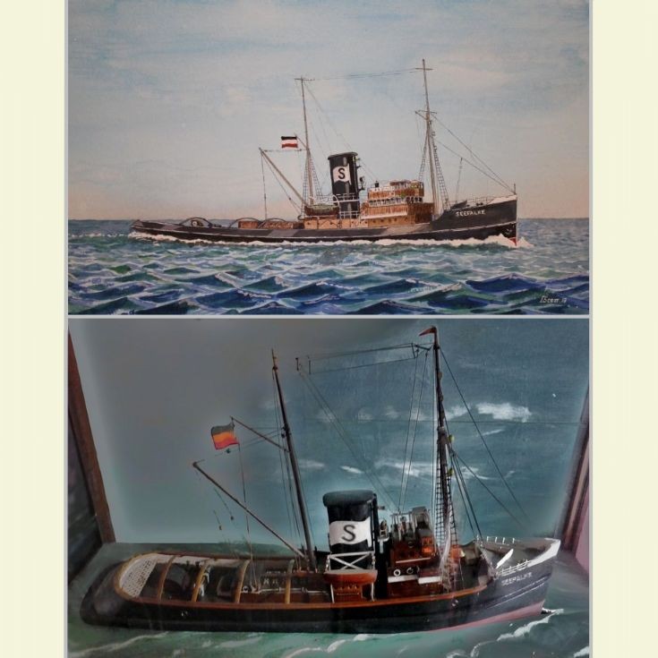 Seefalke painting and model