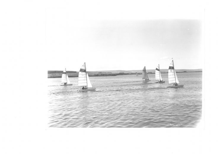 YW cats in Kirkwall Bay
