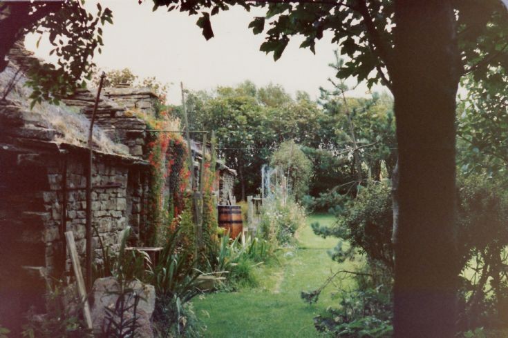 Happy Valley