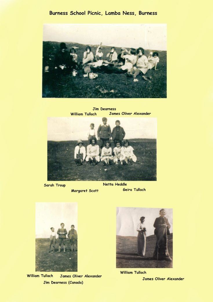 Burness School picnic