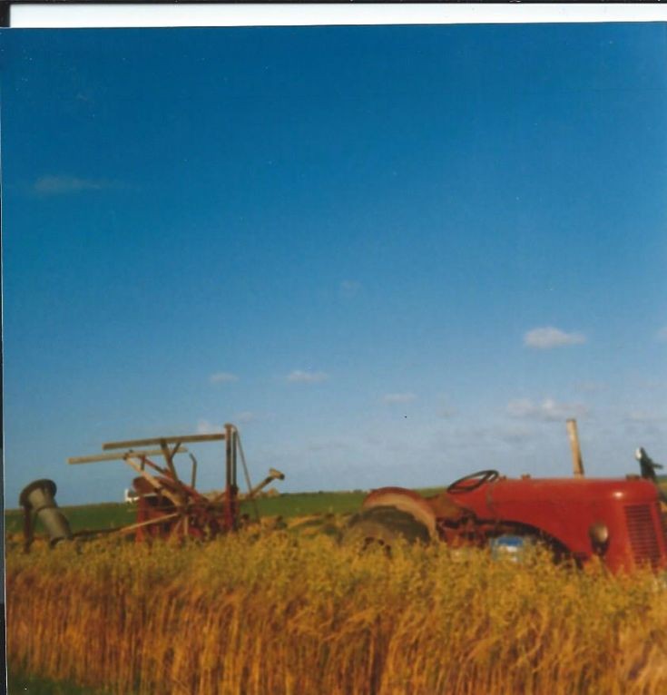 Reaping, Harper's Field, Quivals, Sanday