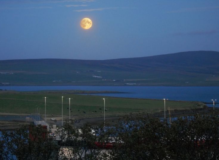 Yellow moon over Copland's Dock