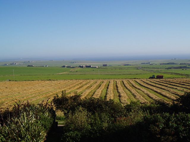 Sept 2004, looking towards Copinsay from Deerness