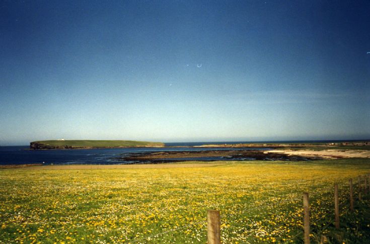 The Brough with flowers