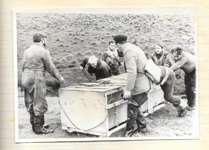 London Zoo seal-acquisition project #13