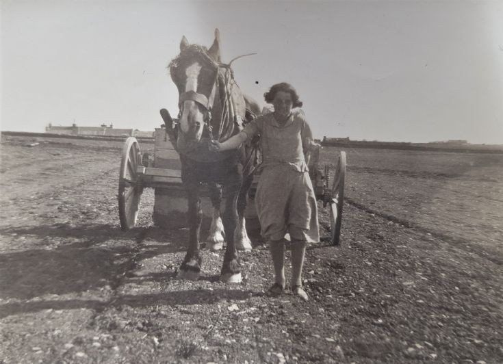 Mystery horsewoman