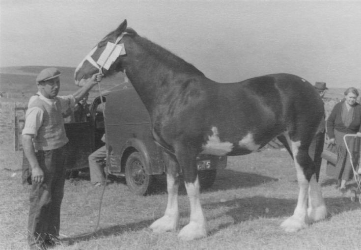 Dounby Agricultural Show 1956 (3/6)