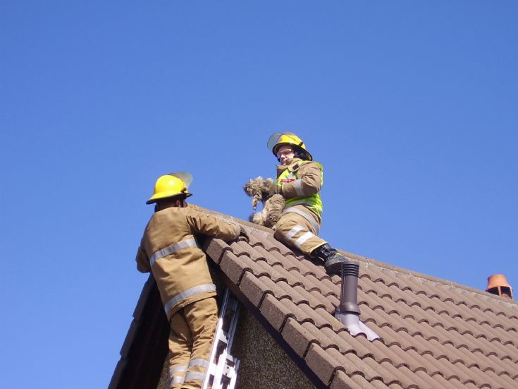 Stuck on the roof no more