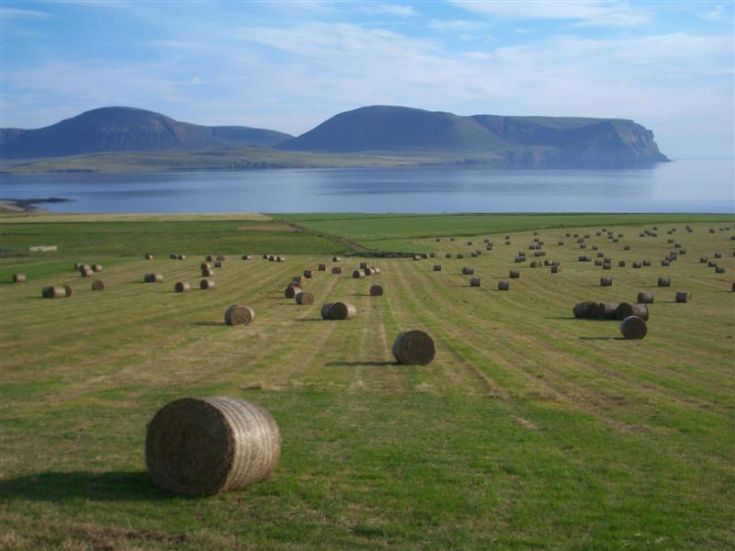 Round bales at Stromness